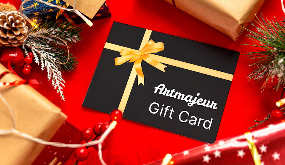 Natale: Gift Card per acquistare art